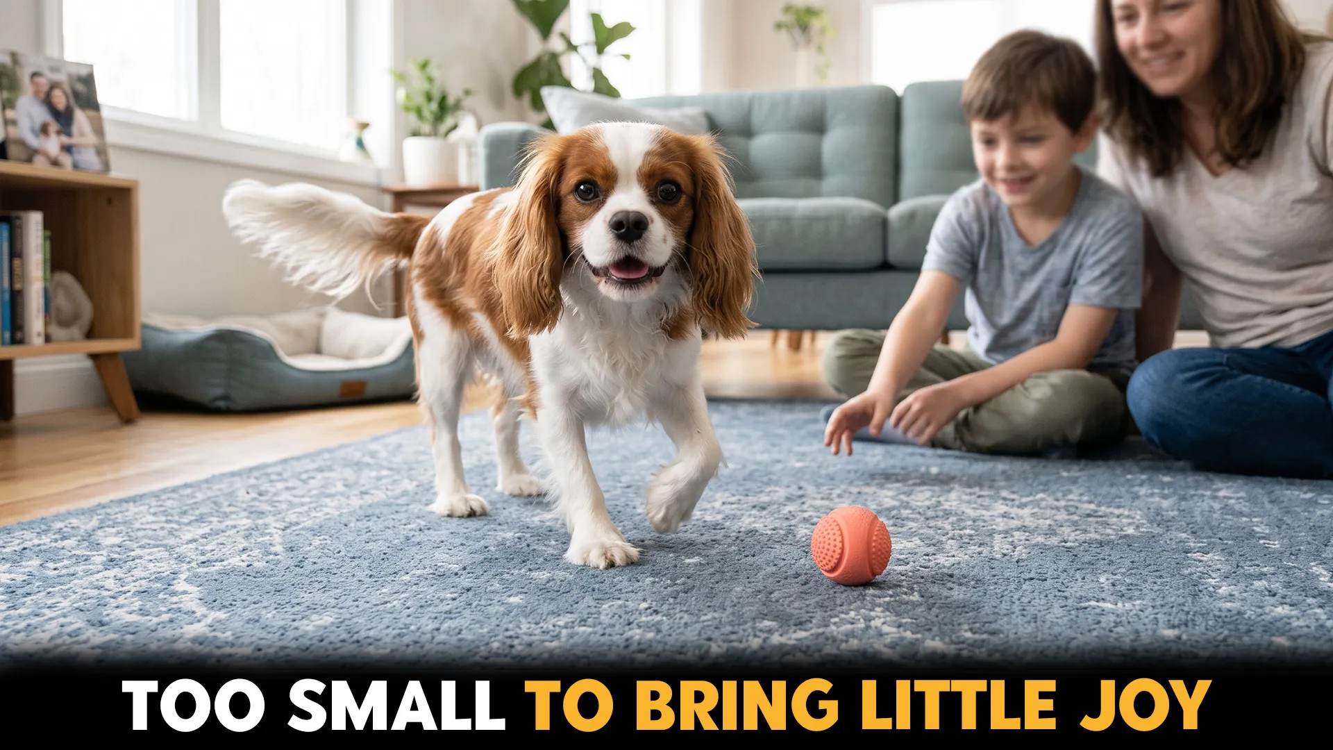 7 Best Small Dog Breeds to Brighten Your Household