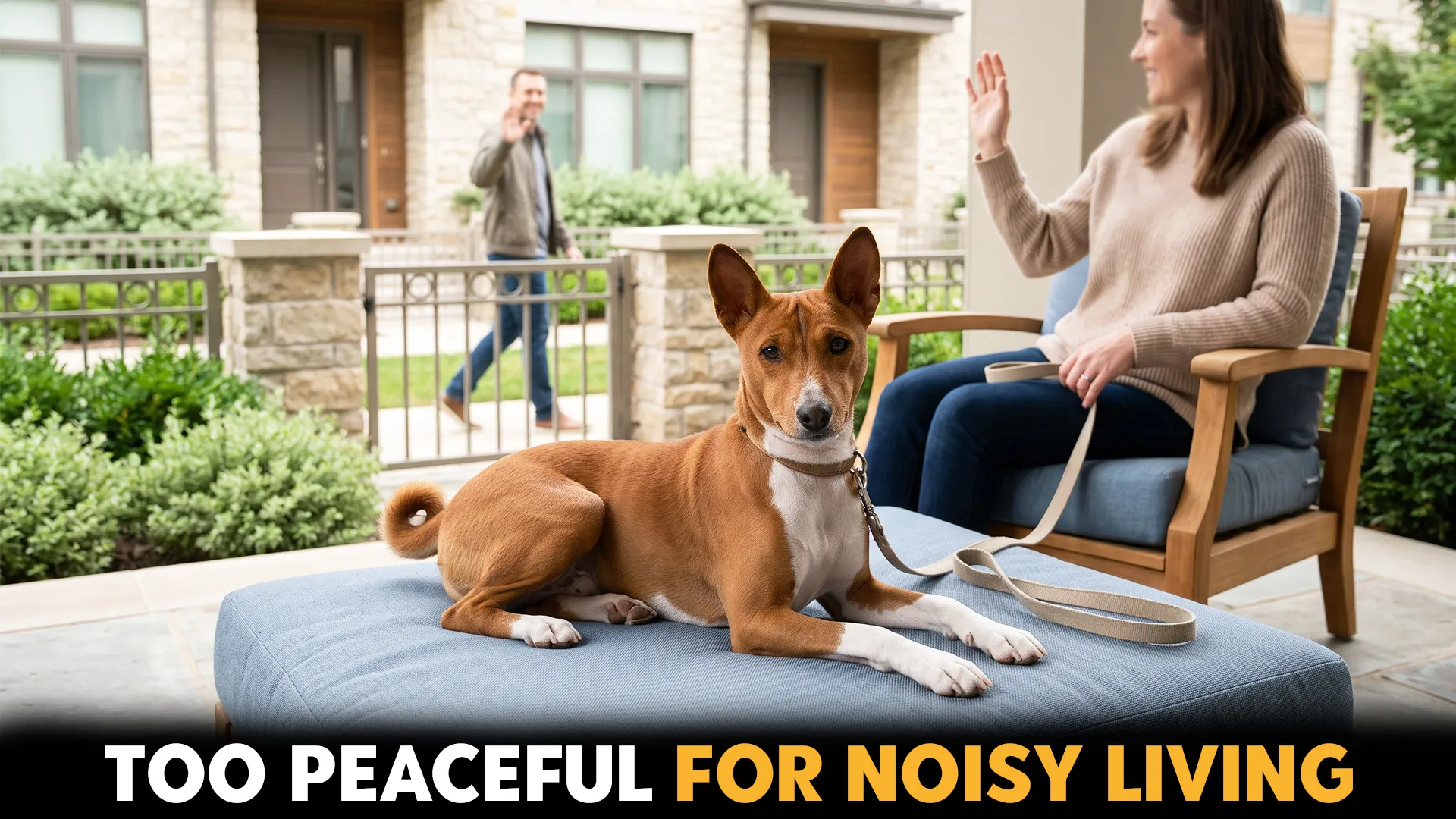Top 7 Low-Barking Dog Breeds That Won’t Disturb Your Neighbors