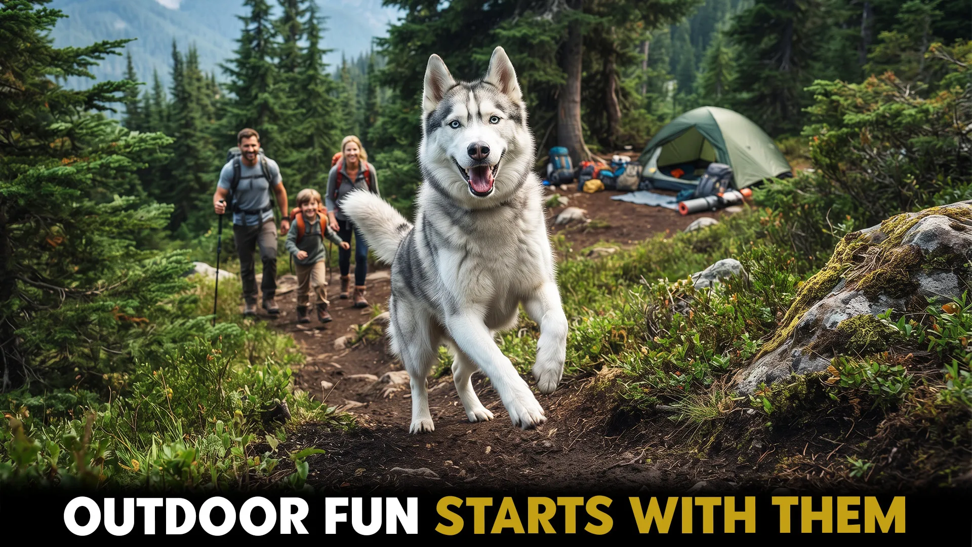 top dog breeds for families who love the outdoors